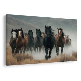 OBRAZ DIVOCÍ KONĚ V MLZE - OBRAZY KONĚ - OBRAZY