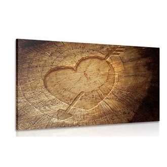 OBRAZ VYŘEZANÉ SRDCE NA PNI - OBRAZY PŘÍRODY A KRAJINY - OBRAZY