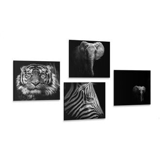 Set of pictures animals in black & white style