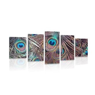 5-DÍLNÝ OBRAZ PAVÍ PEŘÍČKO - OBRAZY ZÁTIŠÍ - OBRAZY