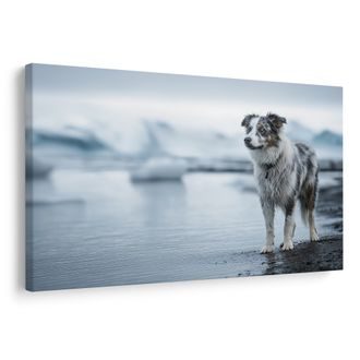 TABLOU CÂINE ÎN PEISAJ DE IARNĂ - TABLOURI CU CÂINI - TABLOURI