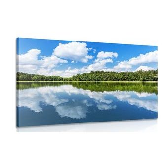 OBRAZ PŘÍRODA V LETNÍM OBDOBÍ - OBRAZY PŘÍRODY A KRAJINY - OBRAZY