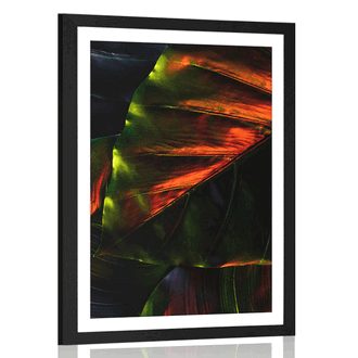 AFFICHE AVEC MONTURE DE FEUILLES DE PALMIER TROPICAL - NATURE - AFFICHES