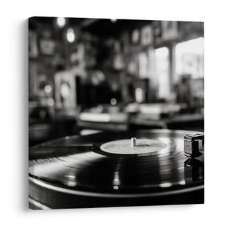 SLIKA VINTAGE GRAMOFONSKA PLOČA - VINTAGE I RETRO SLIKE - SLIKE
