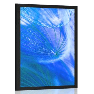 POSTER BEAUTIFUL DANDELION IN BLUE DESIGN - FLOWERS - POSTERS