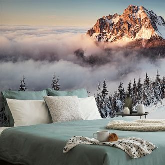 FOTOTAPETE RIESENGEBIRGE UNTER DER SCHNEEDECKE - TAPETEN MIT NATURMOTIVEN - TAPETEN