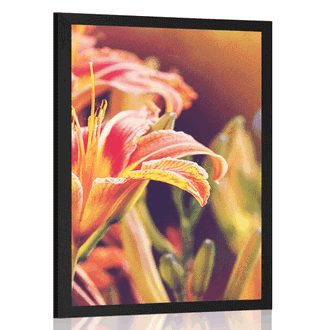 POSTER BEAUTIFUL BLOOMING FLOWERS IN THE GARDEN - FLOWERS - POSTERS