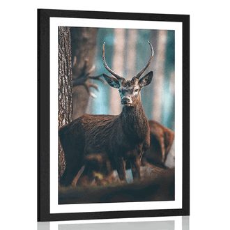 Plakat s paspartujem jelen v gozdu