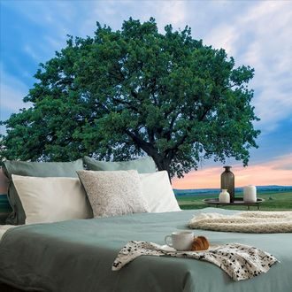 SELF ADHESIVE WALL MURAL LONELY OAK - SELF-ADHESIVE WALLPAPERS - WALLPAPERS