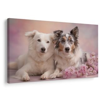 OBRAZ PSI PŘÁTELSTVÍ V KVĚTECH - OBRAZY PSI - OBRAZY