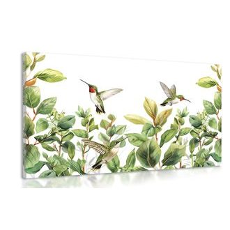 OBRAZ KOLIBŘÍKY A LISTY - OBRAZY PTÁCI - OBRAZY