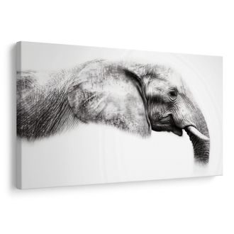 OBRAZ ELEGANTNÍ SLONÍ PROFIL - OBRAZY SLONI - OBRAZY