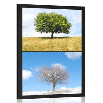 AFFICHE ARBRE EN SAISONS - NATURE - AFFICHES