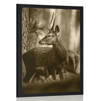 POSTER DEER IN A PINE FOREST IN SEPIA - BLACK AND WHITE - POSTERS