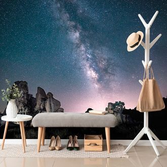 SAMOLEPÍCÍ TAPETA HVĚZDNÁ OBLOHA NAD SKALAMI - TAPETY - TOTÁLNÍ VÝPRODEJ 🔥