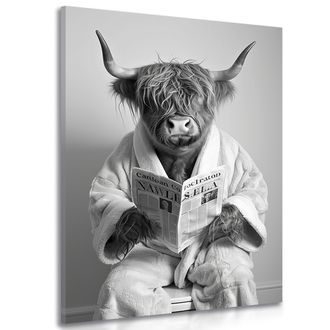 SLIKA KRAVA S NOVINAMA NA WC-U - SLIKE BIVOLI I KRAVE - SLIKE