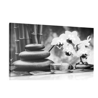 OBRAZ SPA ZÁTIŠÍ V ČERNOBÍLÉM PROVEDENÍ - ČERNOBÍLÉ OBRAZY - OBRAZY