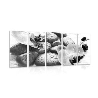 5-DÍLNÝ OBRAZ KRÁSNÁ SOUHRA KAMENŮ A ORCHIDEJE V ČERNOBÍLÉM PROVEDENÍ - ČERNOBÍLÉ OBRAZY - OBRAZY