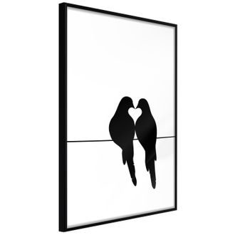 Plakát zamilované holuby - Crush
