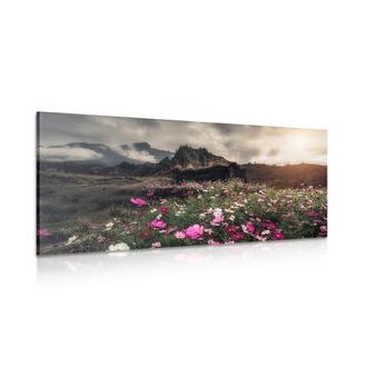 QUADRO PRATO DI FIORI CHE SBOCCIANO - QUADRI DI NATURA E PAESAGGIO - QUADRI