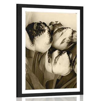 AFFICHE AVEC MONTURE TULIPES PRINTANIÈRES DANS UN DESIGN SÉPIA - NOIR ET BLANC - AFFICHES