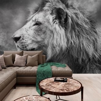 WALLPAPER AFRICAN LION IN BLACK AND WHITE - BLACK AND WHITE WALLPAPERS - WALLPAPERS