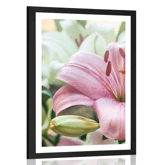 POSTER WITH MOUNT PINK LILY IN BLOOM - FLOWERS - POSTERS