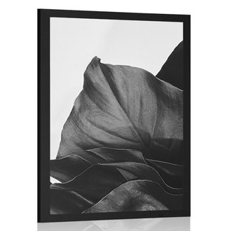 POSTER ENCHANTING MONSTERA LEAF IN BLACK AND WHITE - FLOWERS - POSTERS