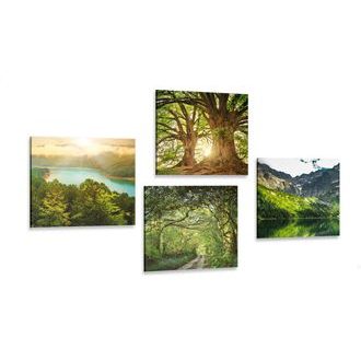 Set di quadri bellissima natura verde