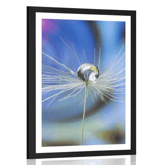 POSTER WITH MOUNT DEW DROP ON A COLORED BACKGROUND - FLOWERS - POSTERS