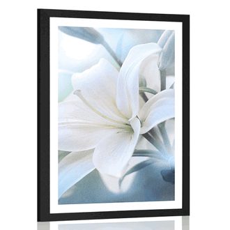 Plakat s paspartujem bel cvet lilije na abstraktnem ozadju