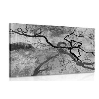 OBRAZ SURREALISTICKÉ STROMY V ČERNOBÍLÉM PROVEDENÍ - ČERNOBÍLÉ OBRAZY - OBRAZY