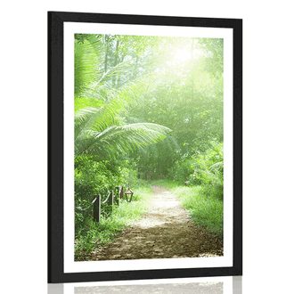 AFFICHE AVEC MONTURE CHEMIN SUR L'ÎLE DES SEYCHELLES - NATURE - AFFICHES