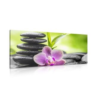 CANVAS PRINT TROPICAL ZEN COMPOSITION - PICTURES FENG SHUI - PICTURES