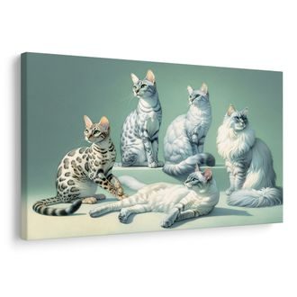 WANDBILD ELEGANTE KATZEN - BILDER VON KATZEN - BILDER