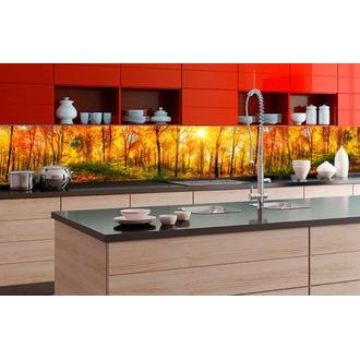 SELF ADHESIVE PHOTO WALLPAPER FOR KITCHEN SUNLIT FOREST - WALLPAPERS