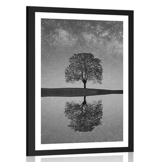 AFFICHE AVEC MONTURE CIEL ÉTOILÉ AU-DESSUS D'UN ARBRE SOLITAIRE EN NOIR ET BLANC - NOIR ET BLANC - AFFICHES