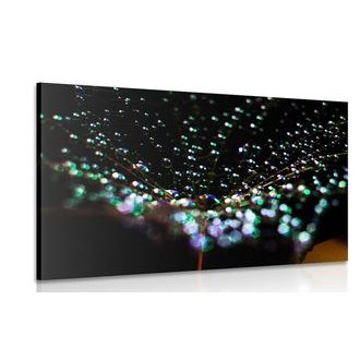 ΕΙΚΌΝΑ ΣΤΑΓΌΝΕΣ ΝΕΡΟΎ ΣΕ ΜΙΑ ΠΙΚΡΑΛΊΔΑ - ΠΊΝΑΚΕΣ ΑΠΌ ΛΟΥΛΟΎΔΙΑ - ΠΊΝΑΚΕΣ