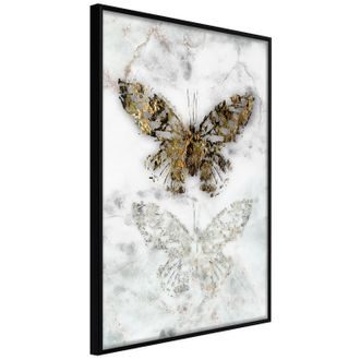 Plakát sbírka motýlů - Butterfly Fossils