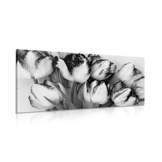 ΕΙΚΌΝΑ ΤΟΥΛΊΠΕΣ ΣΕ ΑΝΟΙΞΙΆΤΙΚΗ ΑΠΌΧΡΩΣΗ ΣΕ ΑΣΠΡΌΜΑΥΡΟ - ΠΊΝΑΚΕΣ ΑΣΠΡΌΜΑΥΡΕΣ - ΠΊΝΑΚΕΣ