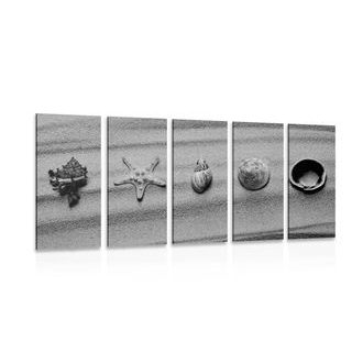 5-DÍLNÝ OBRAZ MUŠLE NA PÍSEČNÉ PLÁŽI V ČERNOBÍLÉM PROVEDENÍ - ČERNOBÍLÉ OBRAZY - OBRAZY