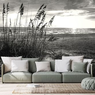 WALL MURAL SUNSET ON A BEACH IN BLACK AND WHITE - BLACK AND WHITE WALLPAPERS - WALLPAPERS