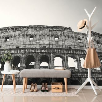 CARTA DA PARATI COLOSSEO IN BIANCO E NERO - CARTA DA PARATI BIANCO E NERO - CARTA DA PARATI