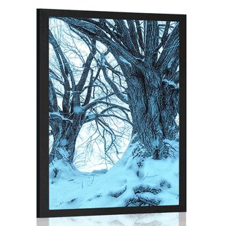 POSTER WINTEREINBRUCH - NATUR - POSTER