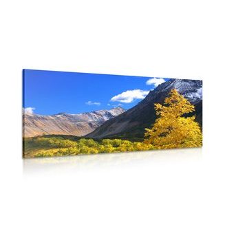 OBRAZ NÁDHERNÁ PŘÍRODA NA KAMČATCE V RUSKU - OBRAZY PŘÍRODY A KRAJINY - OBRAZY