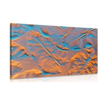 OBRAZ TEXTURA LISTŮ NA PÍSEČNÉ PLÁŽI - OBRAZY PŘÍRODY A KRAJINY - OBRAZY