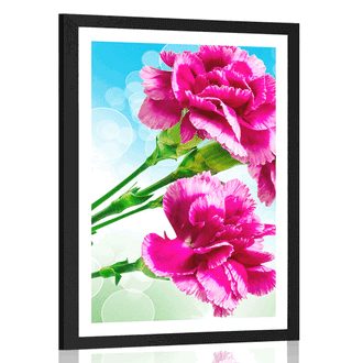 POSTER WITH MOUNT CARNATION FLOWER - FLOWERS - POSTERS