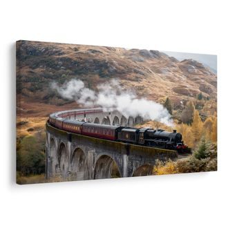OBRAZ HISTORICKÝ PARNÍ VLAK - OBRAZY POLE A LOUKY - OBRAZY