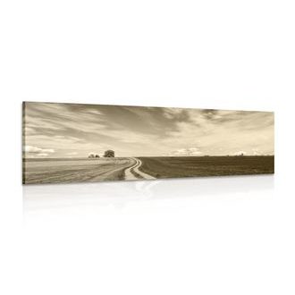CANVAS PRINT MAGICAL LANDSCAPE IN SEPIA - BLACK AND WHITE PICTURES - PICTURES