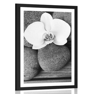 POSTER WITH MOUNT WELLNESS STONES AND AN ORCHID ON A WOODEN BACKGROUND IN BLACK AND WHITE - BLACK AND WHITE - POSTERS